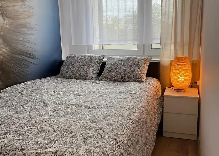 Apartament 26